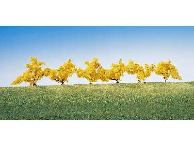 6 forsythias, yellow flowers - image 1