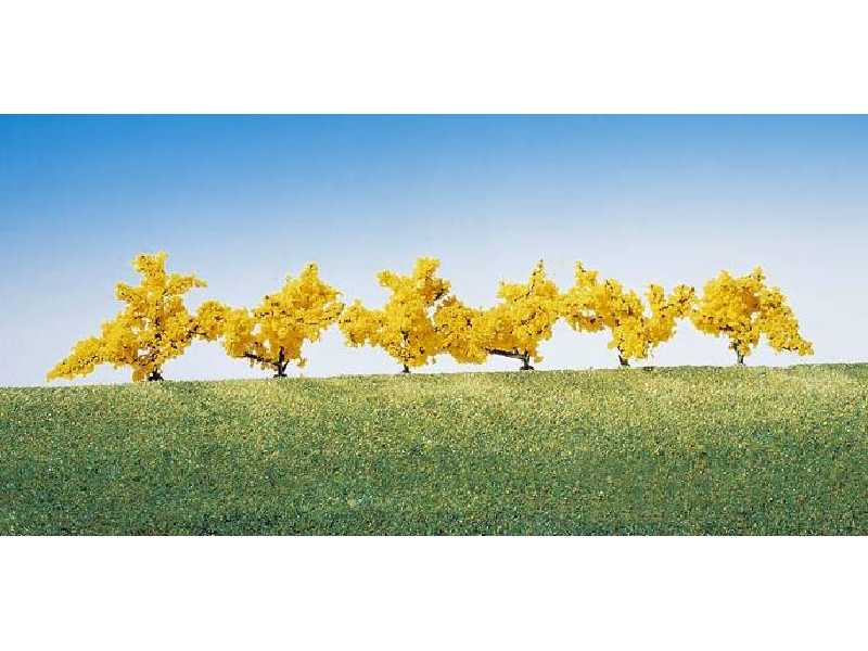 6 forsythias, yellow flowers - image 1