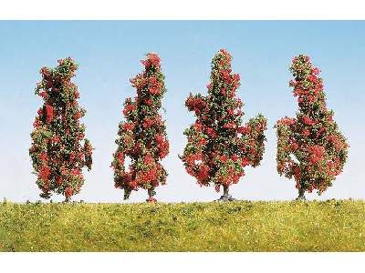 4 shrubs w/red flowers - image 1