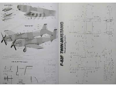 F-82F Twin Mustang amerykański myśliwiec eskortujący z II wojny  - image 6