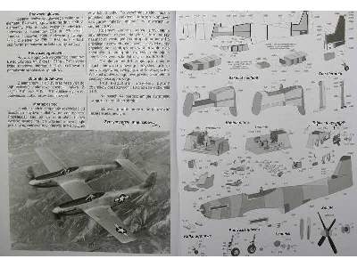 F-82F Twin Mustang amerykański myśliwiec eskortujący z II wojny  - image 8