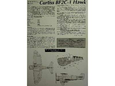 Amerykański myśliwiec Curtiss BF2C-1 Hawk - image 3