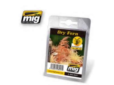 Dry Fern - image 1