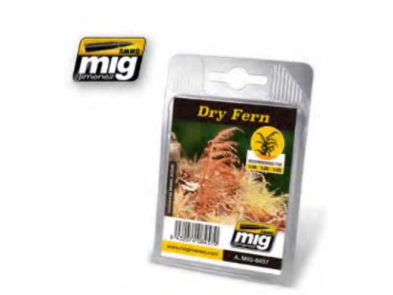 Dry Fern - image 1