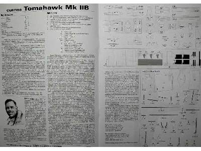 Curtiss Tomahawk IIB - image 4