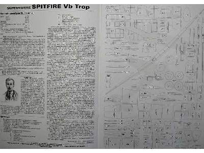 Supermarine Spitfire Vb Trop - image 3
