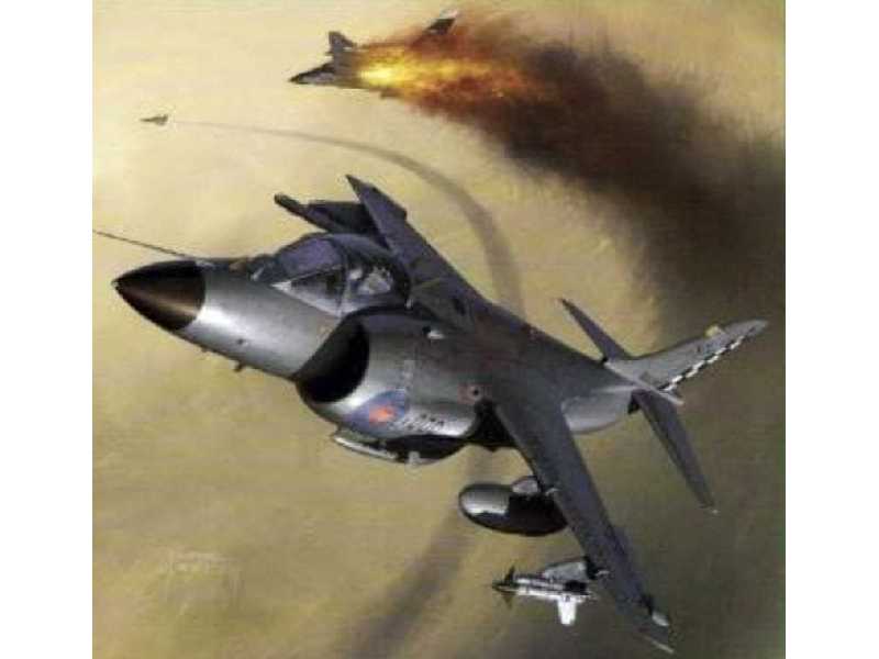 British Aerospace Sea Harrier FRS Mk 1 - image 1 British Aerospace Sea Harrier FRS Mk 1 - image 1