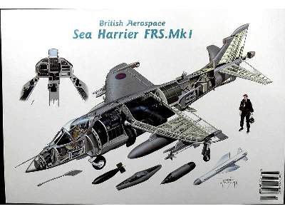 British Aerospace Sea Harrier FRS Mk 1 - image 8