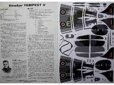 Hawker Tempest V - image 8