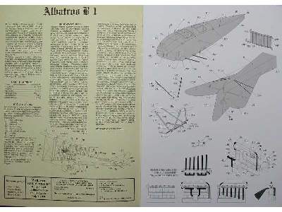 Niemiecki samolot rozpoznawczy Albatros B.I - image 2