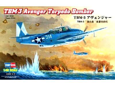 Grumman TBM-3 Avenger Torpedo Bomber - image 1