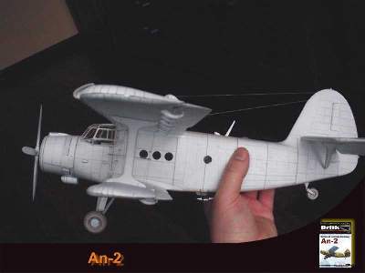 Samolot wielozadaniowy An-2 - image 3
