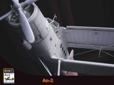 Samolot wielozadaniowy An-2 - image 29