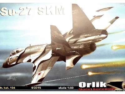 Su-27 SKM - image 2