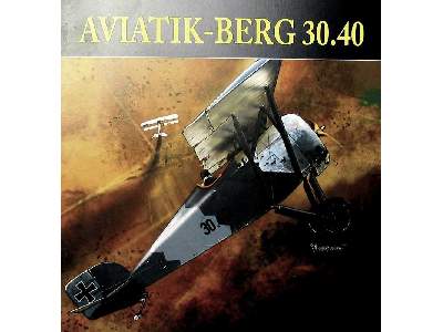 Aviatik-Berg 30.40 - image 2