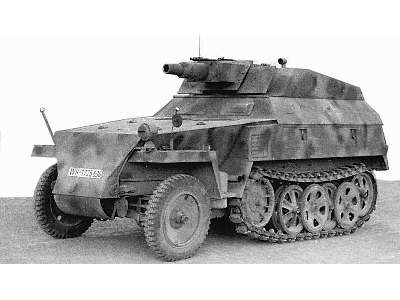 SdKfz.250/8 Stummel - image 11