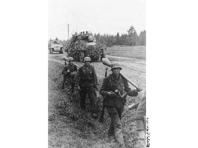 SdKfz.250/8 Stummel - image 13