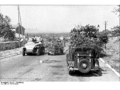 SdKfz.250/8 Stummel - image 16