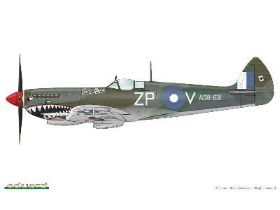 Spitfire Mk. VIII 1/48 - image 2