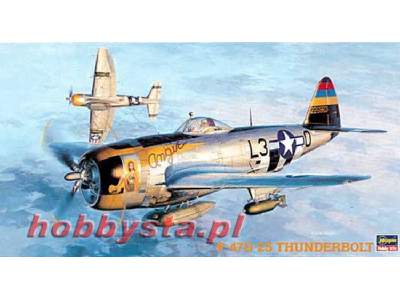 P-47d-25 Thunderbolt - image 1