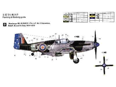 RAF Mustang III (P-51B/C) - image 14