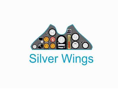 PZL P.11c - Silver Wings   - image 2