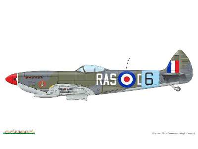 Spitfire Mk. XVI Bubbletop 1/48 - image 3