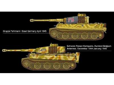 Tiger I - Gruppe Fehrmann - Essel 1945 - image 8