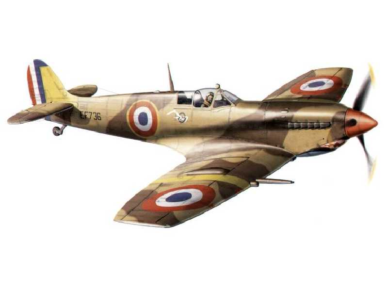 Spitfire LF Mk. Vc  - Limited Edition - image 1