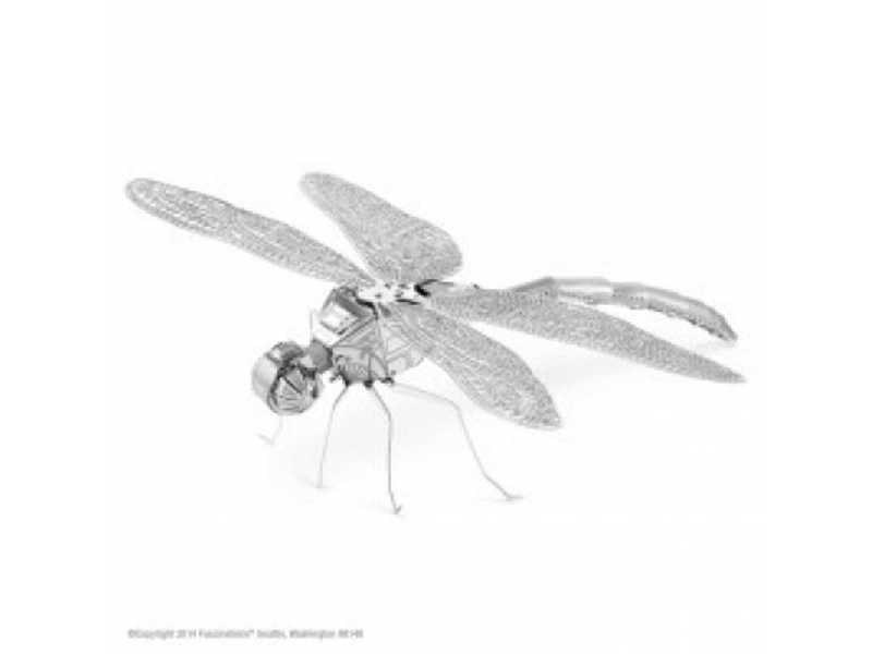 Dragonfly - image 1