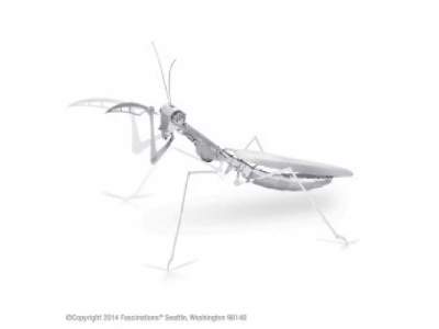 Praying Mantis - image 1