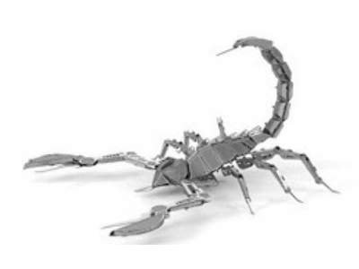 Scorpion - image 1