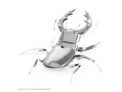 Stag Beetle - image 1