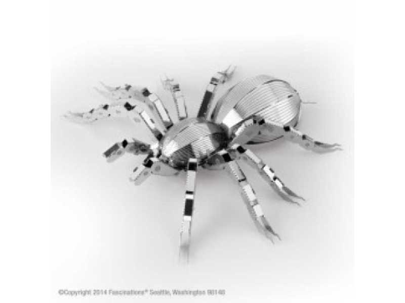 Tarantula - image 1