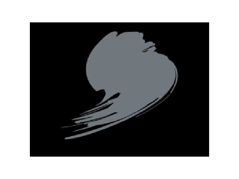 Dark Gull Grey - image 1