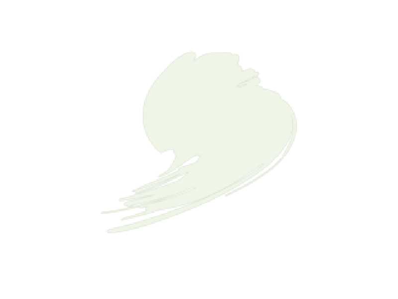 Insignia White (ANA 511) - image 1 Insignia White (ANA 511) - image 1