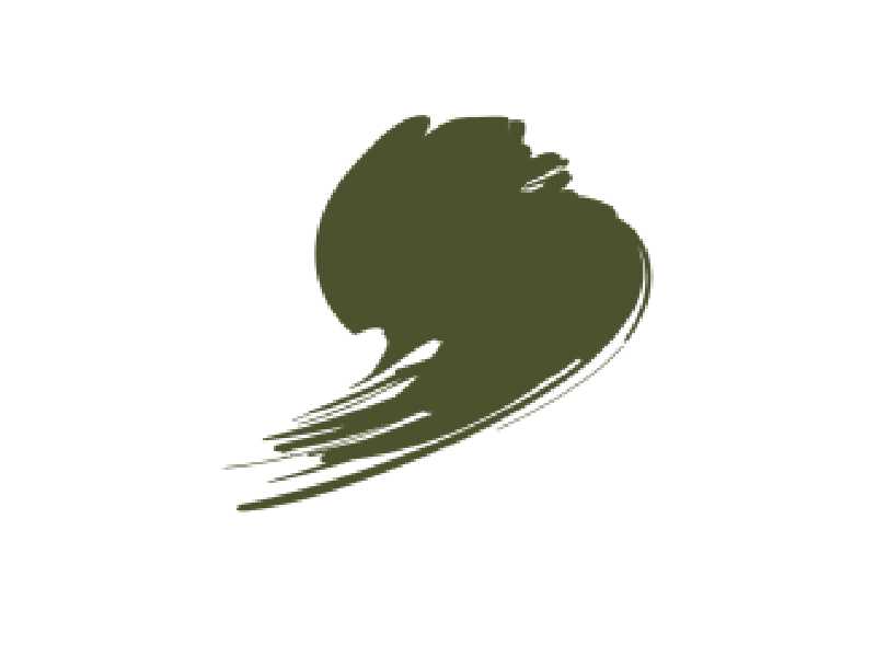 Polish AFV Khaki Green - image 1 Polish AFV Khaki Green - image 1
