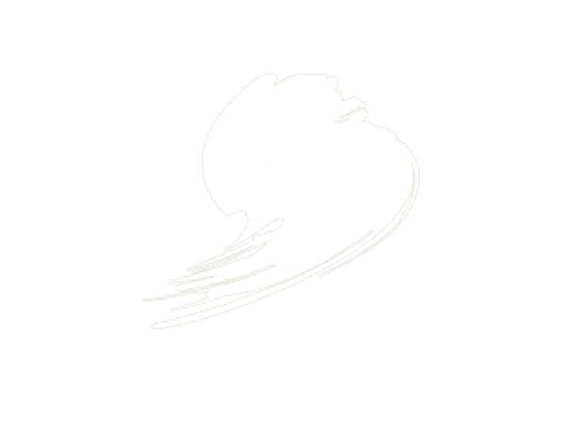 Traffic White (RAL 9016) - image 1 Traffic White (RAL 9016) - image 1