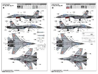 Chinese Shenyang J-15 - image 5