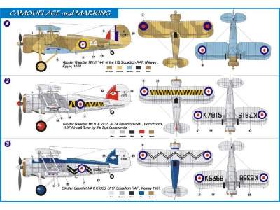 Gloster Gauntlet Mk. II - RAF - image 2