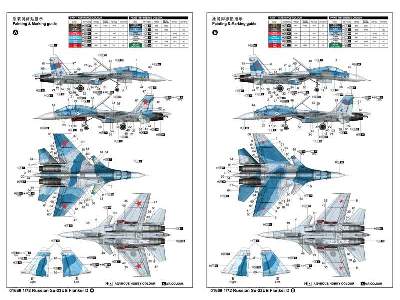 Russian Su-33UB Flanker D - image 5