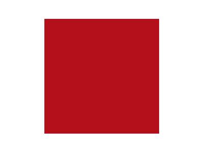 153 Paint Insignia Red - image 1