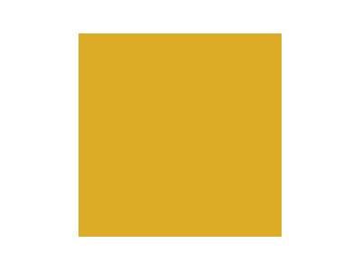 016 Paint Gold - image 1