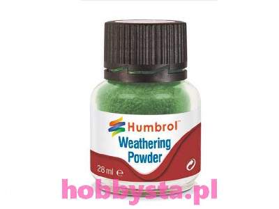 Weathering Powder Chrome Oxide Green - image 1