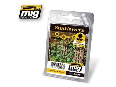 Sunflowers - image 1