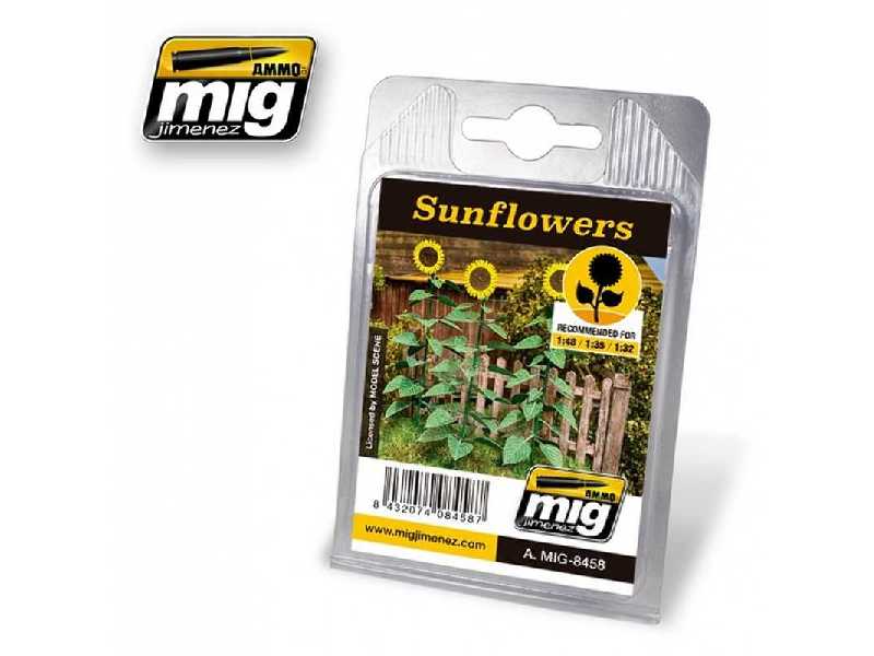 Sunflowers - image 1