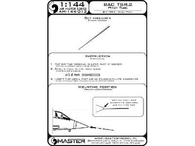 BAC TSR.2 - Rurka Pitota - image 1