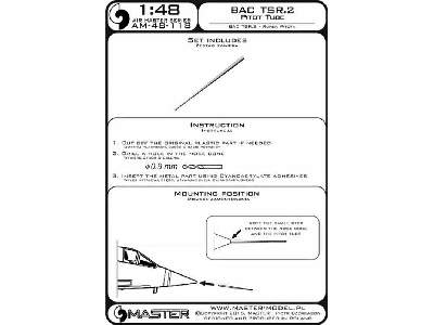 BAC TSR.2 - Rurka Pitota - image 1
