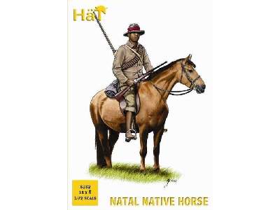 Natal Native Horse - image 1