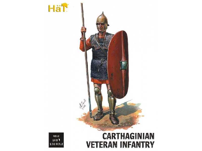 Punic Wars - Hannibal's Veterans - image 1
